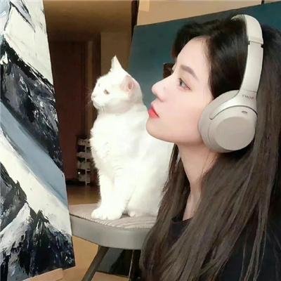 步步高升